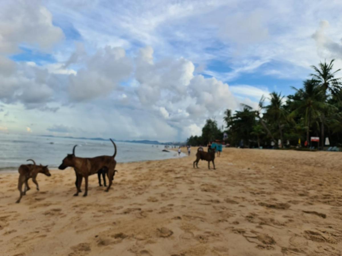 Kim Lien Phu Quoc Guesthouse Экстерьер фото